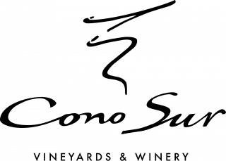 https://cowchile.cl/wp-content/uploads/2022/03/COW-Logo-ConoSur-320x229.png